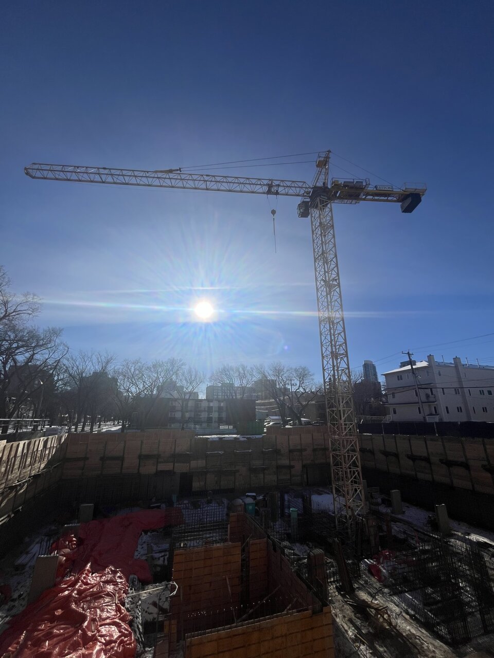 Lestoncrane.jpg