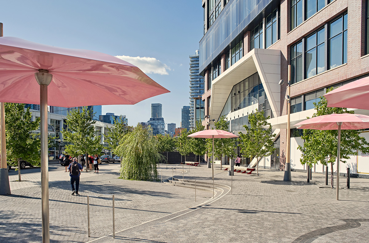 lower-jarvis-57.jpg
