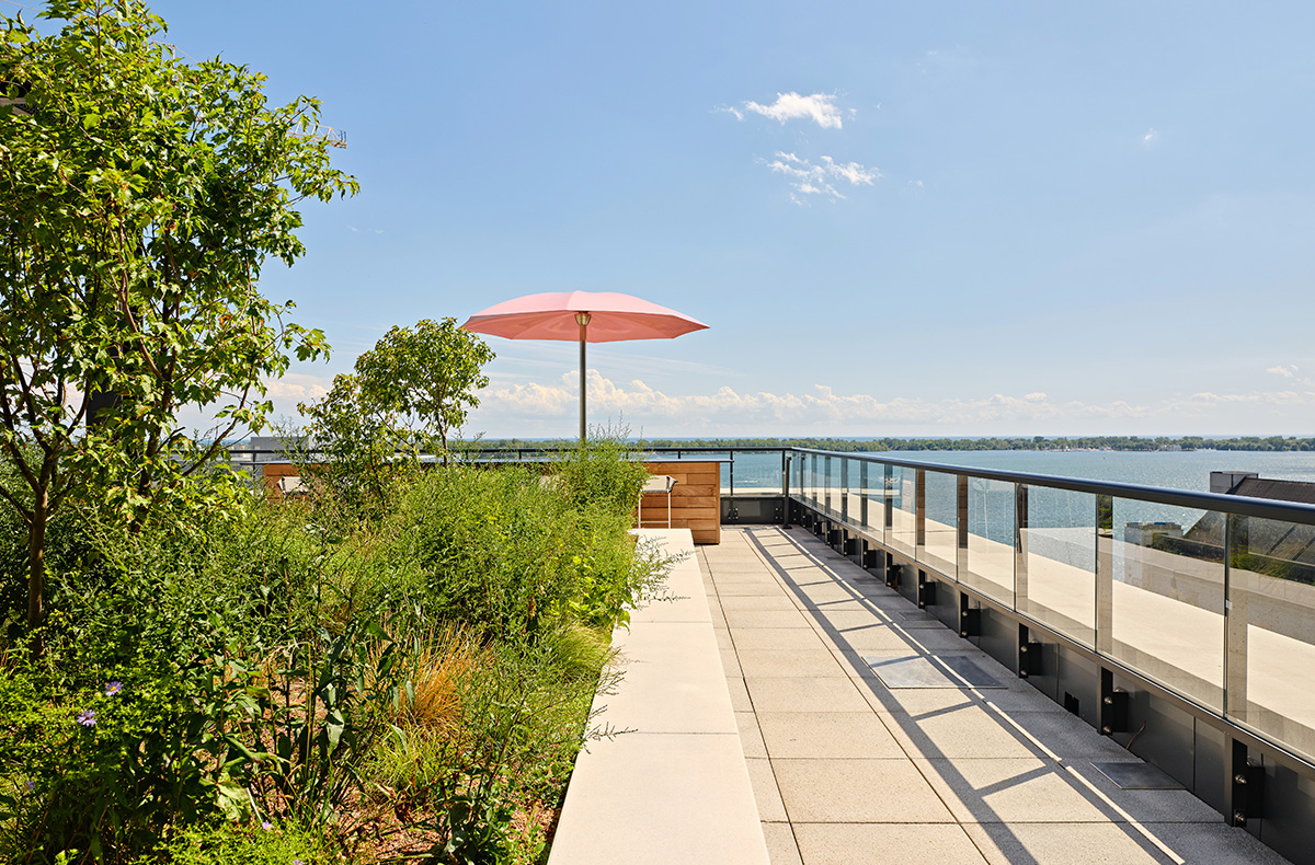 lower-jarvis-61.jpg