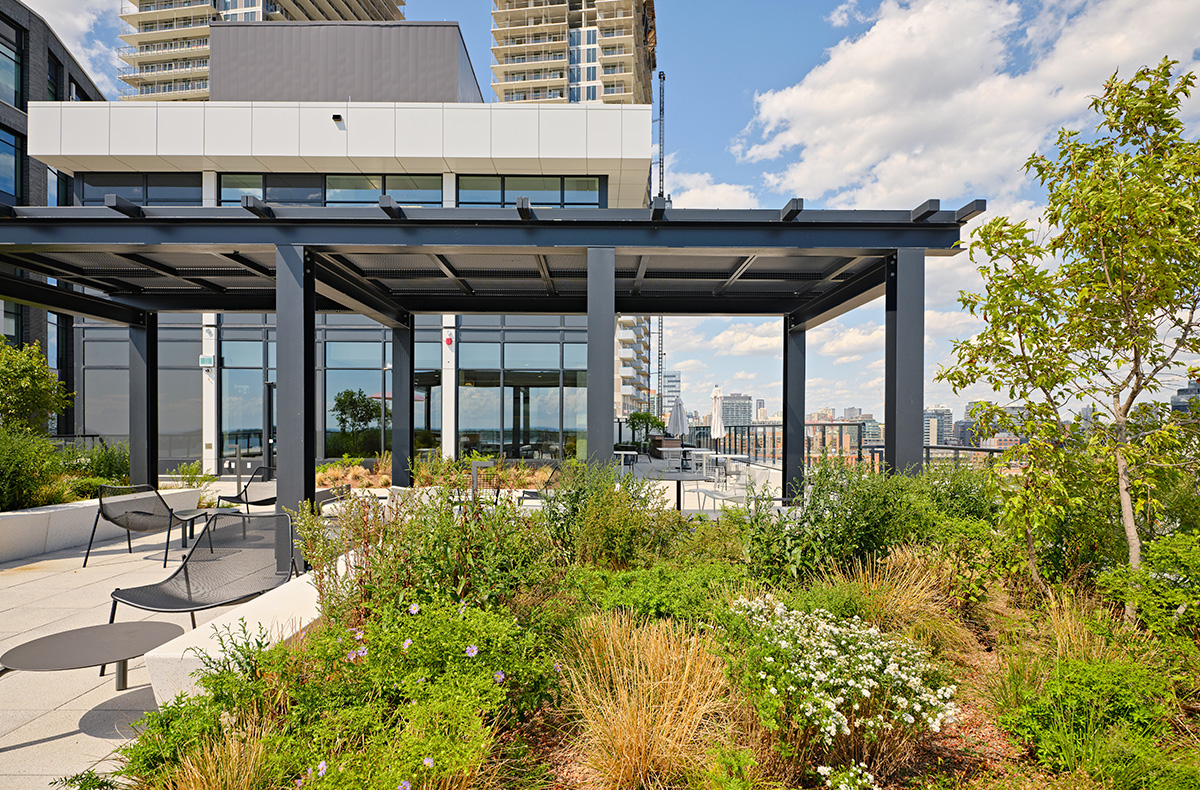 lower-jarvis-63.jpg