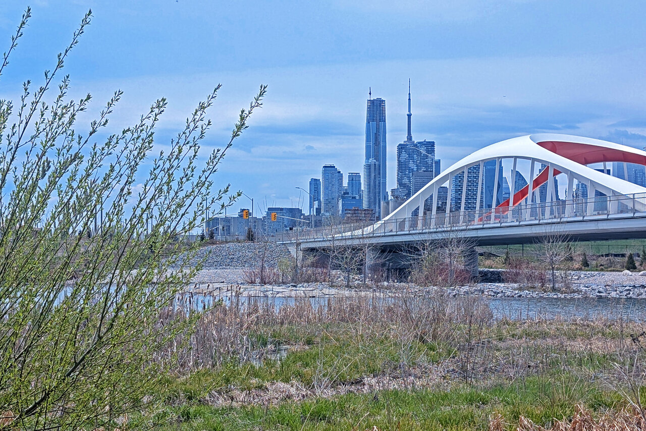lowerdon-020.jpg