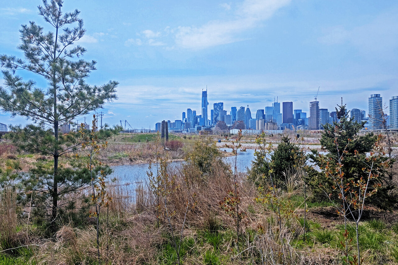 lowerdon-021.jpg
