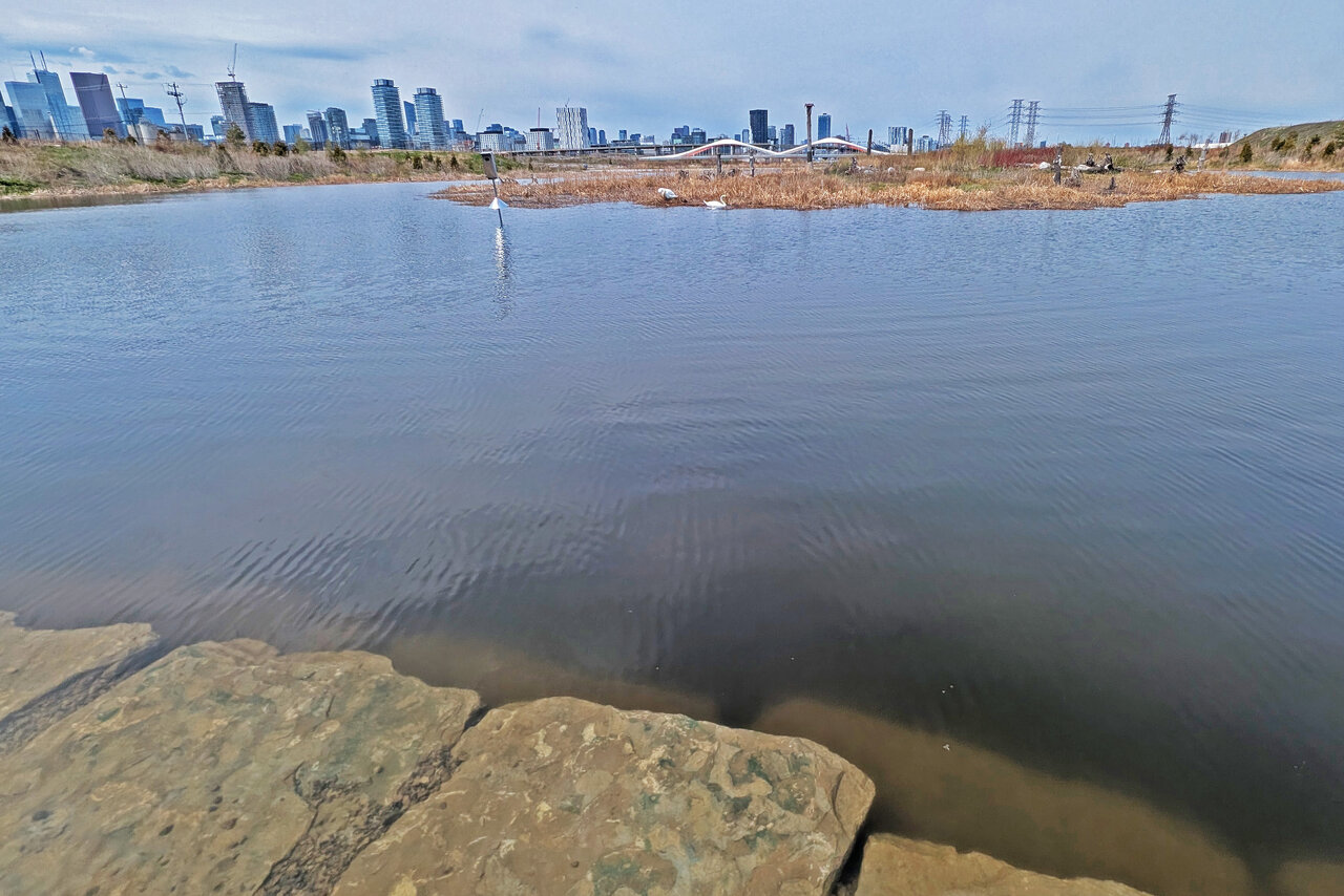 lowerdon-024.jpg