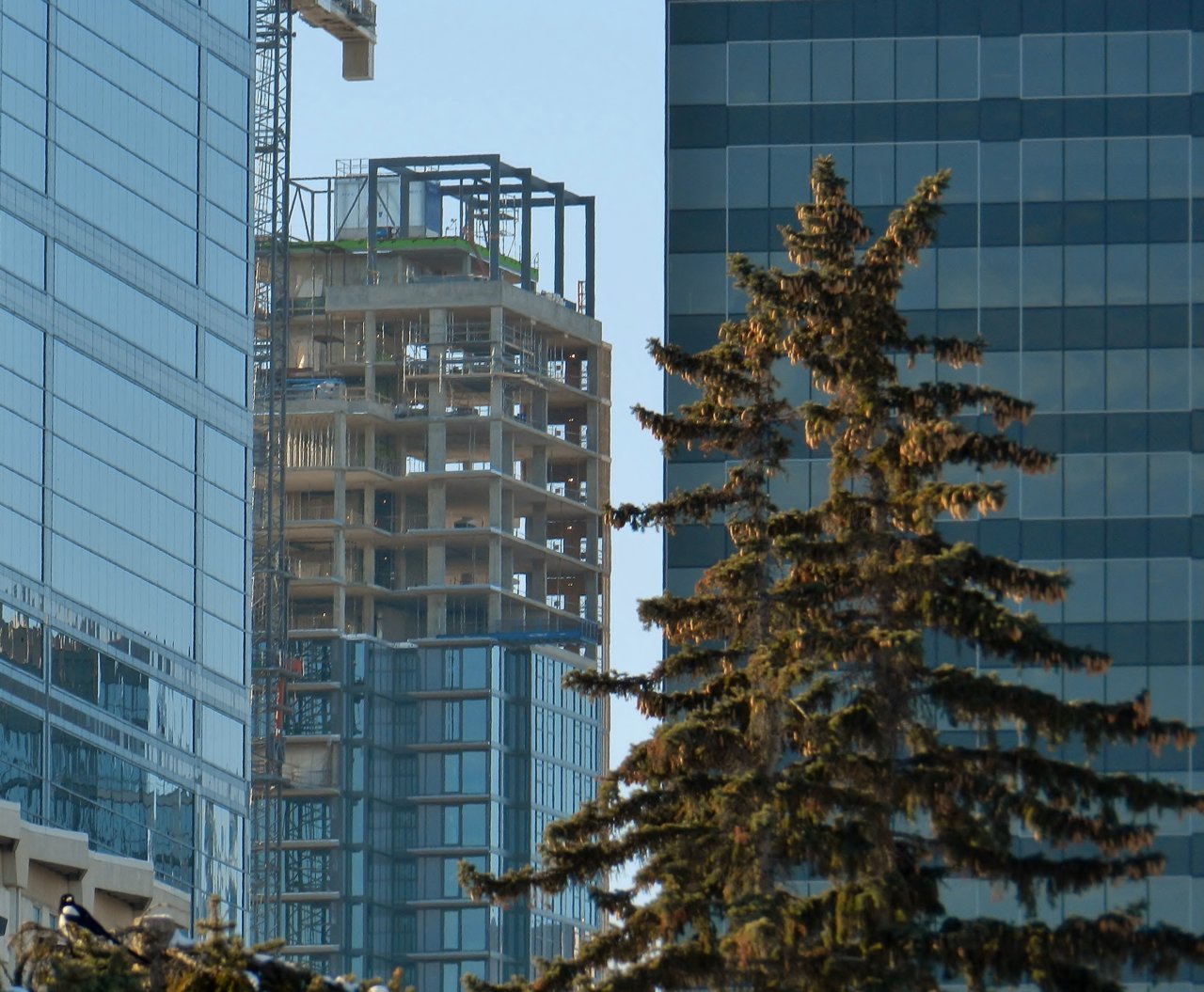 LRT 98ave Bridge, Quarters, 95 Ave open 2019-12-01 025.JPG