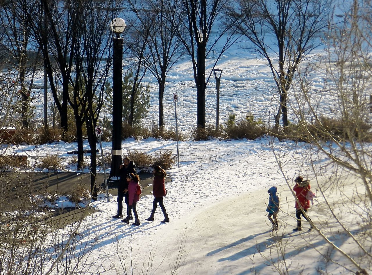 LRT 98ave Bridge, Quarters, 95 Ave open 2019-12-01 142.JPG