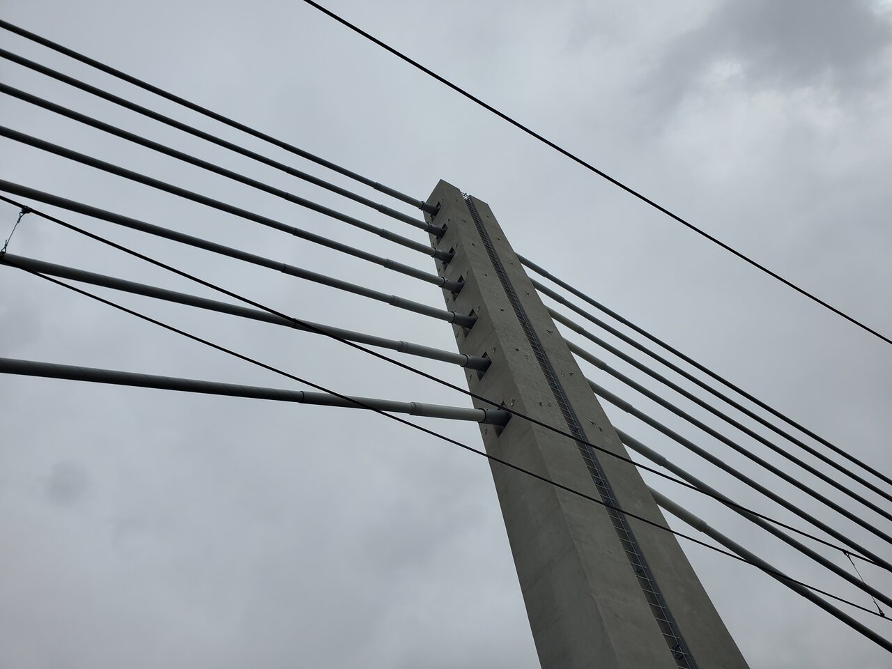 LRT8.jpg