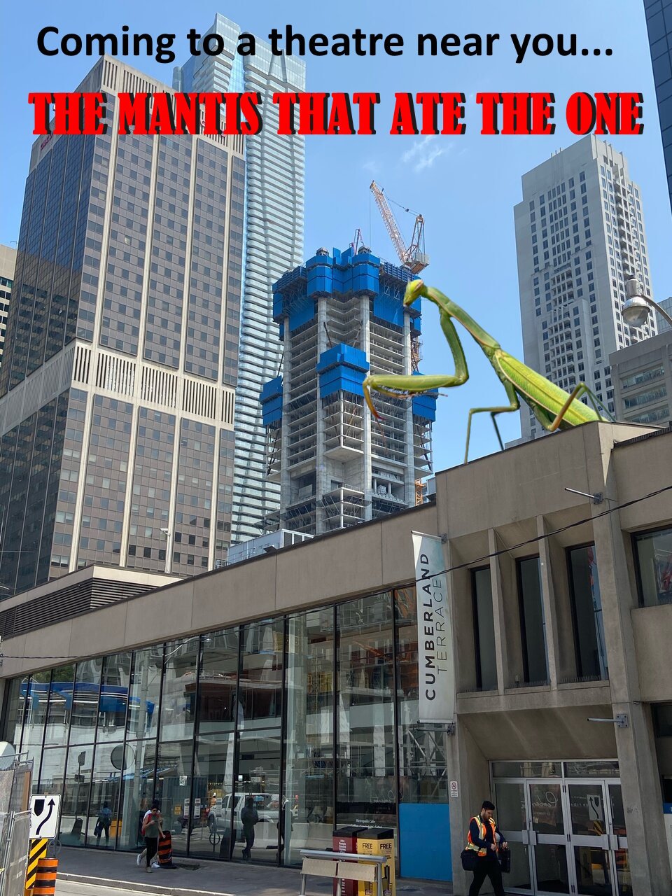 mantis_one.jpg