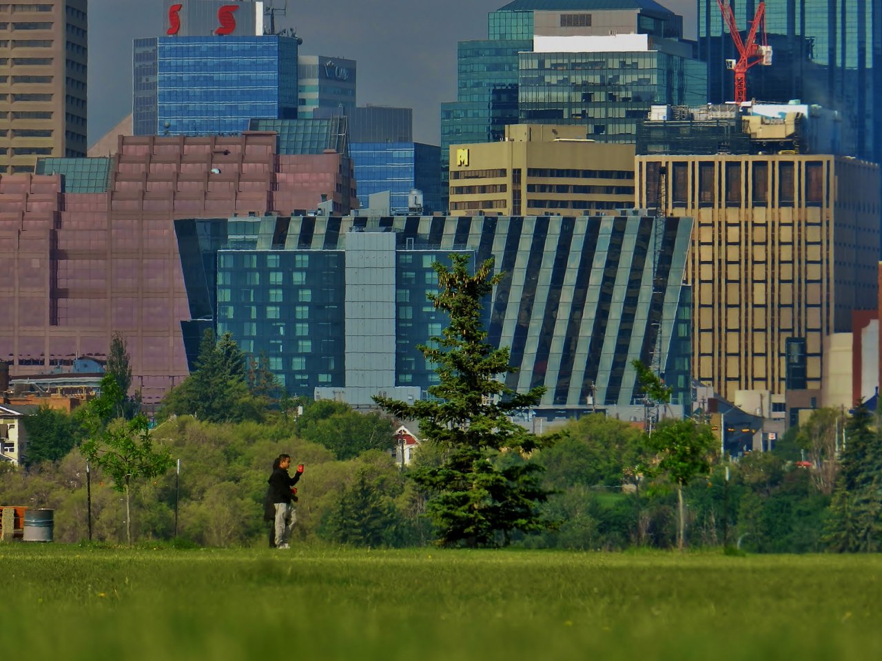 McNally  by the school low down Monsre Pod 2019-06-22 028.JPG