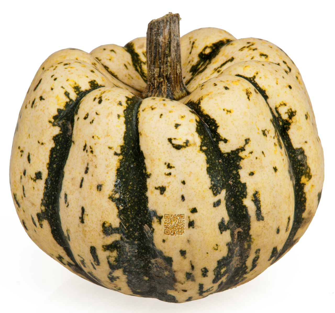 Melon with QR Code.png