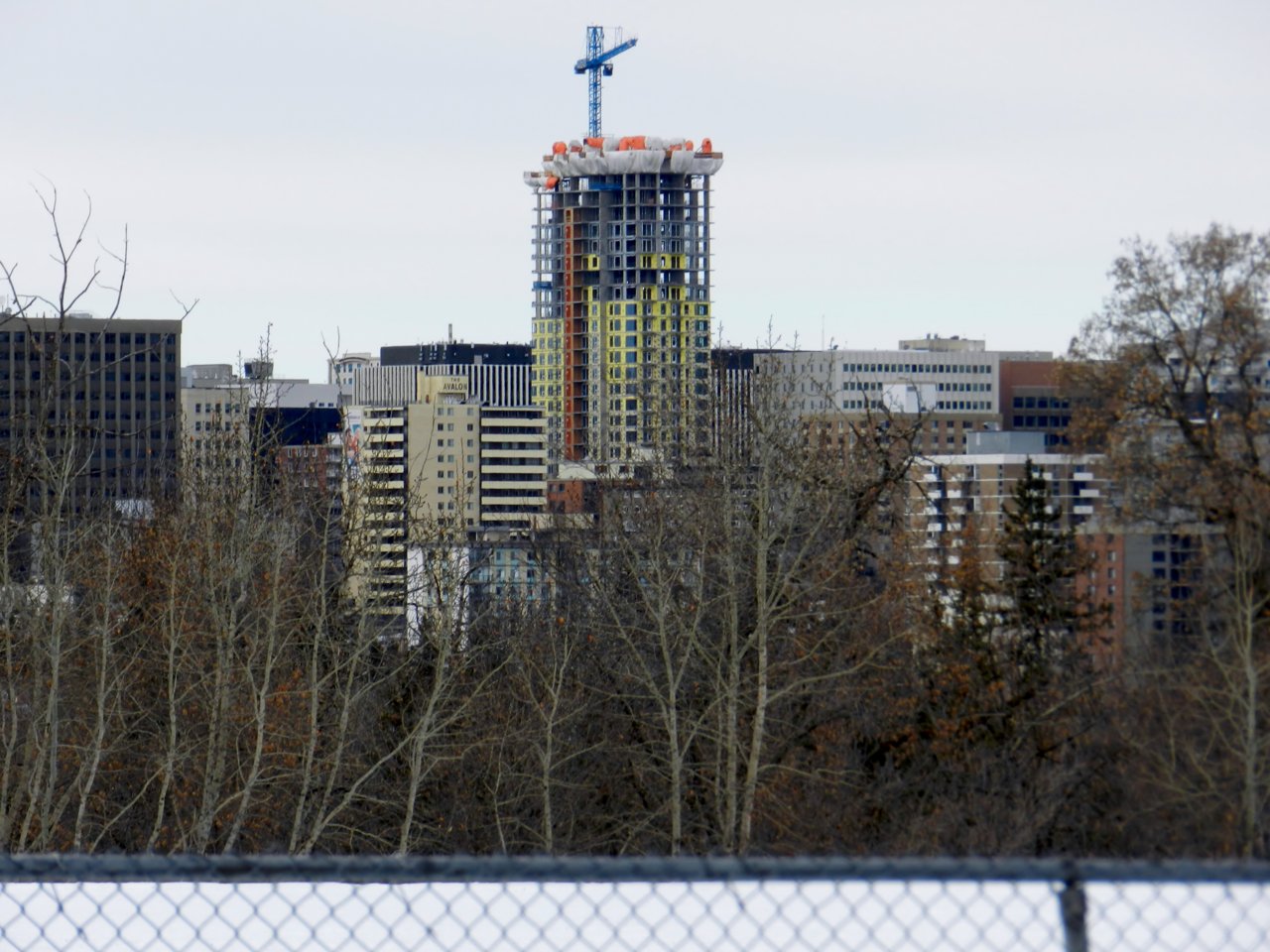 Milkcreek Ravine & Connors Hill 2020-01-04 116.JPG