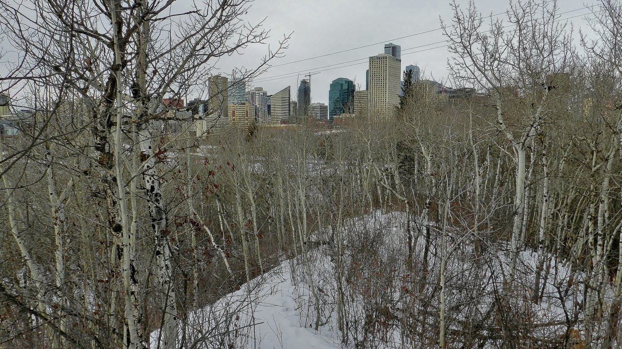 Milkcreek Ravine & Connors Hill 2020-01-04 221.JPG