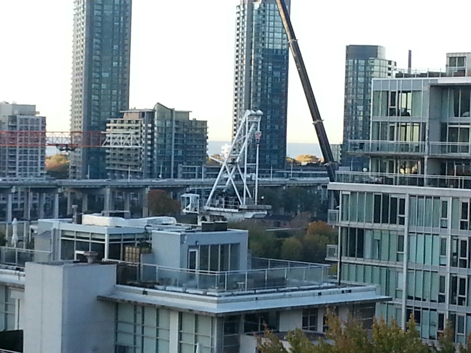 Minto Westside Third Crane.jpg