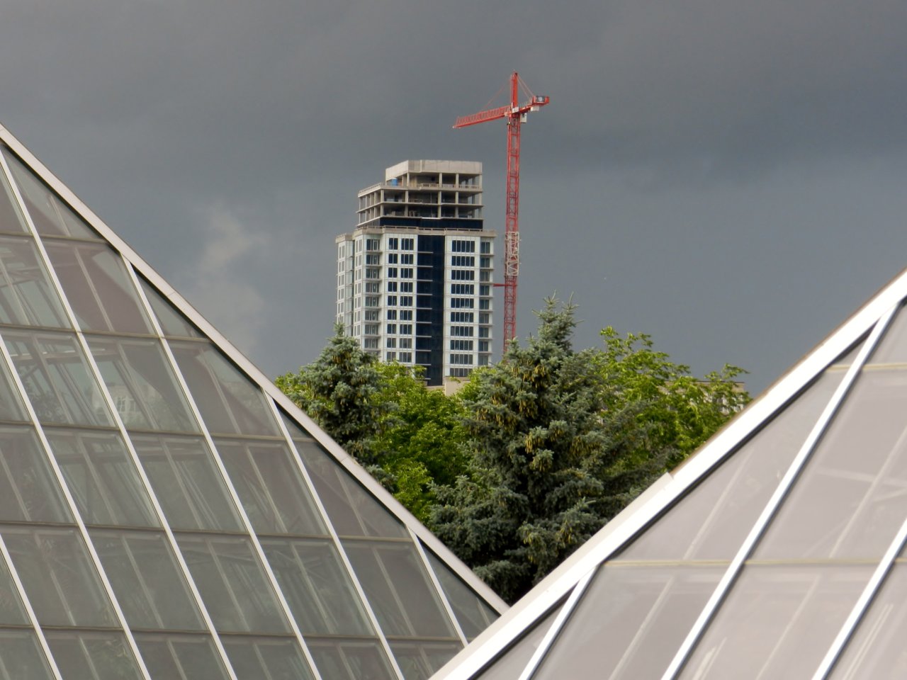 Muttard Conservatory 2019-06-29 139.JPG