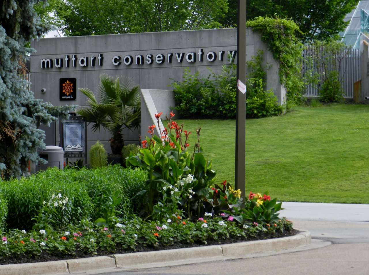 Muttard Conservatory 2019-06-29 198.JPG
