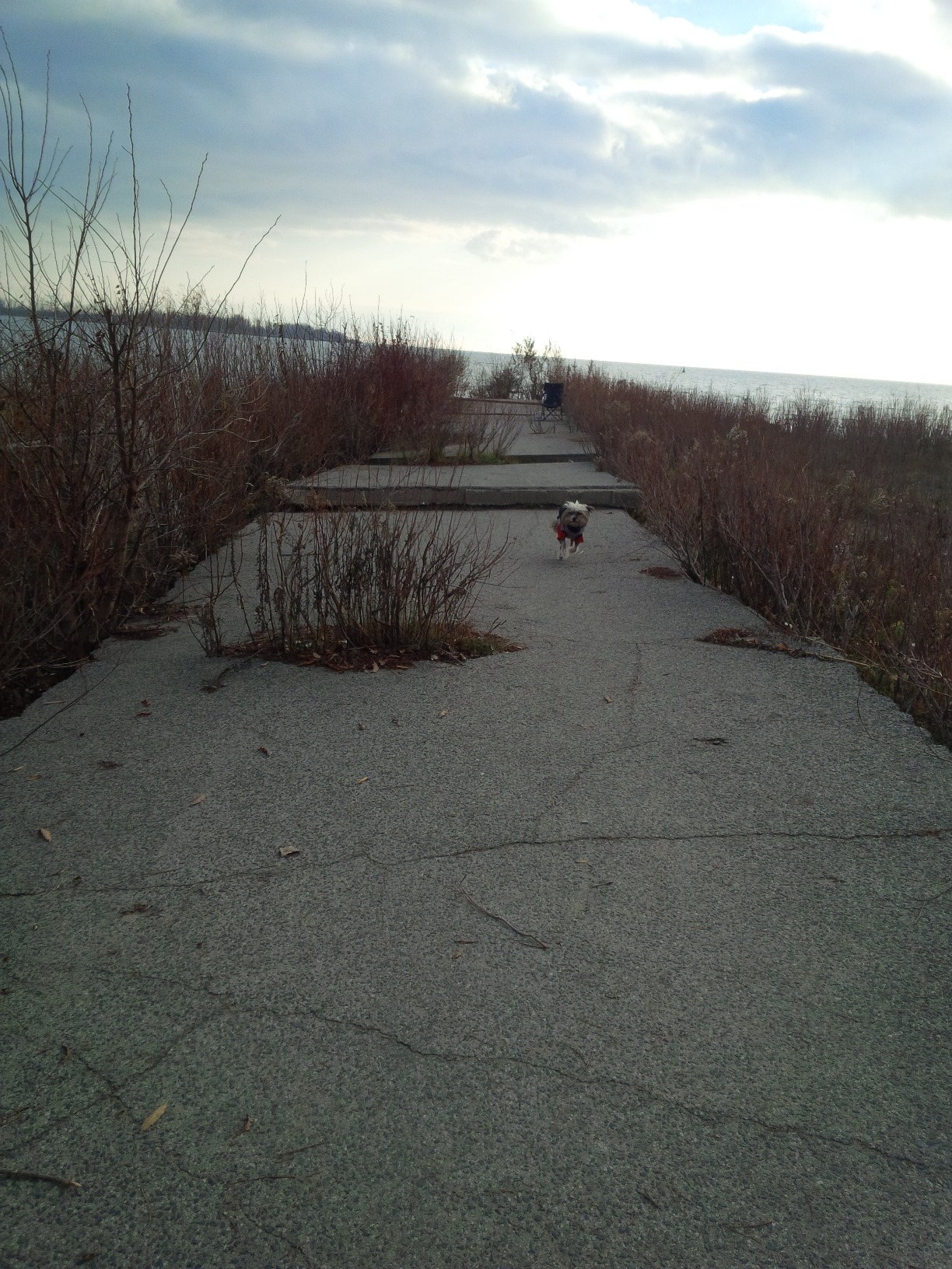 Mystery Cherry Beach Slab.jpg