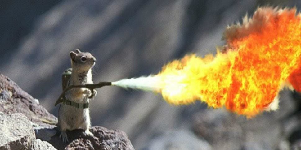 news-from-around-the-world-crowd-funded-flamethrowers.jpg