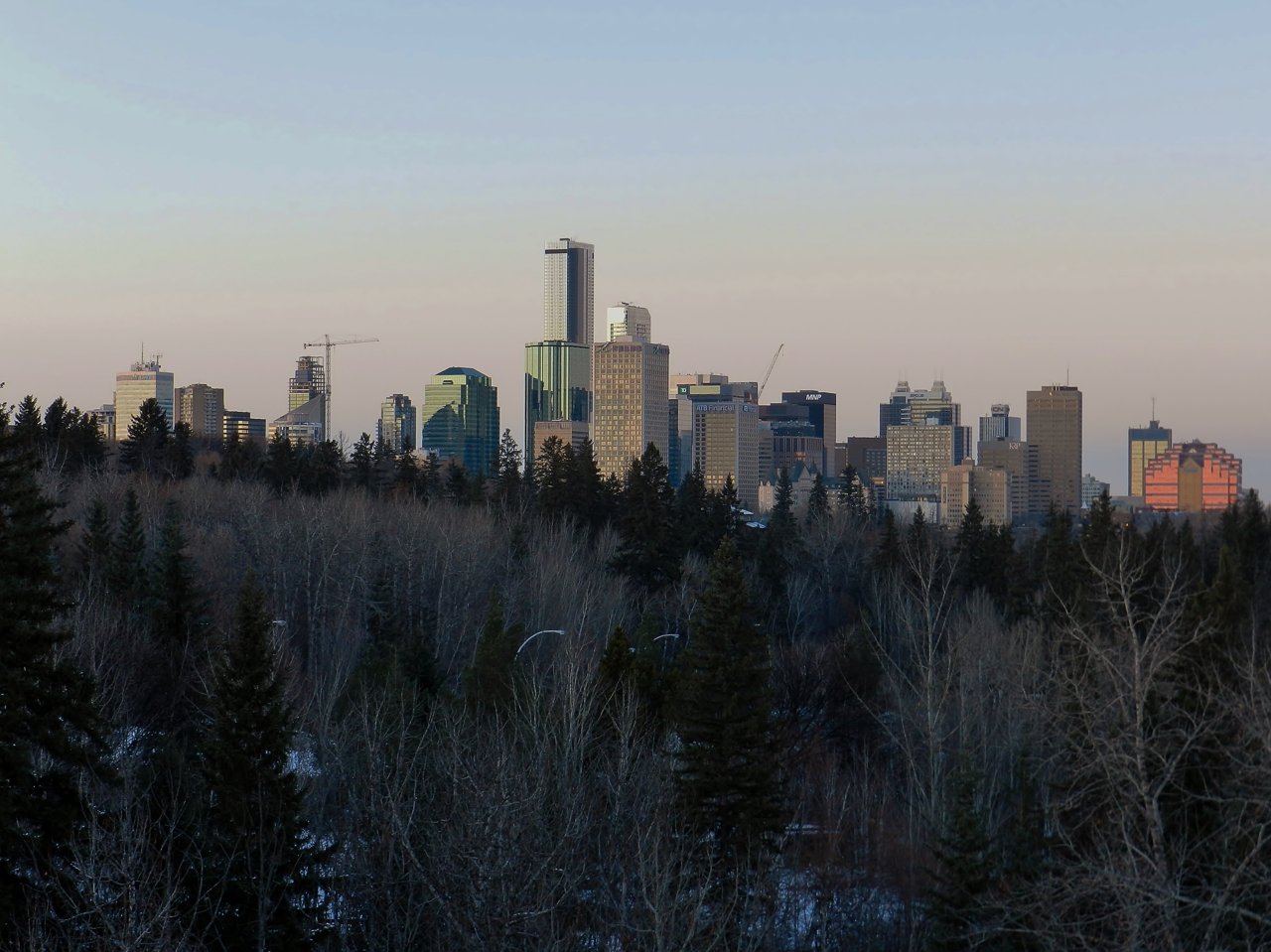 Night on Whyte 2019-11-21 035.JPG
