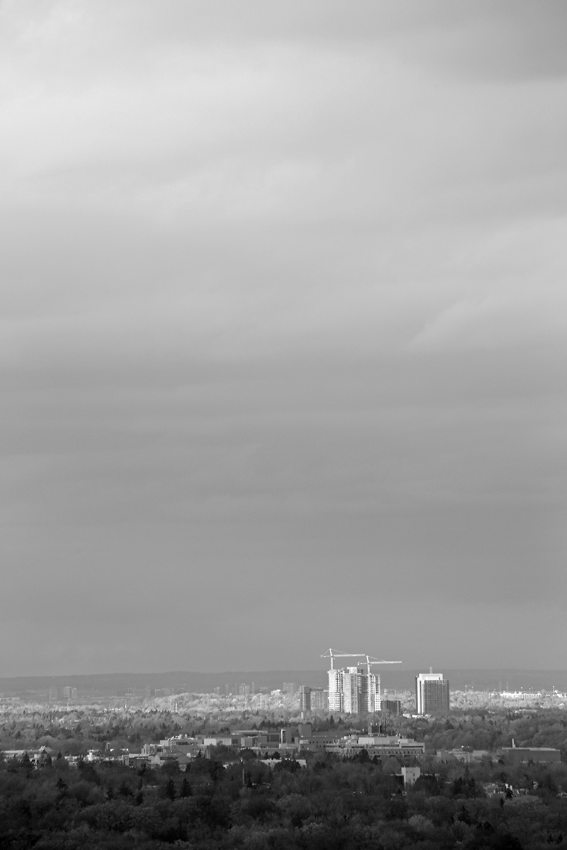 opusandomega_bw800.jpg