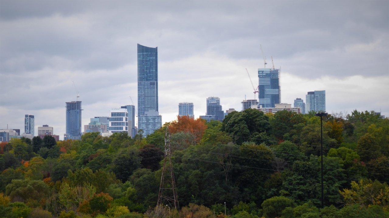 P1000016.JPG