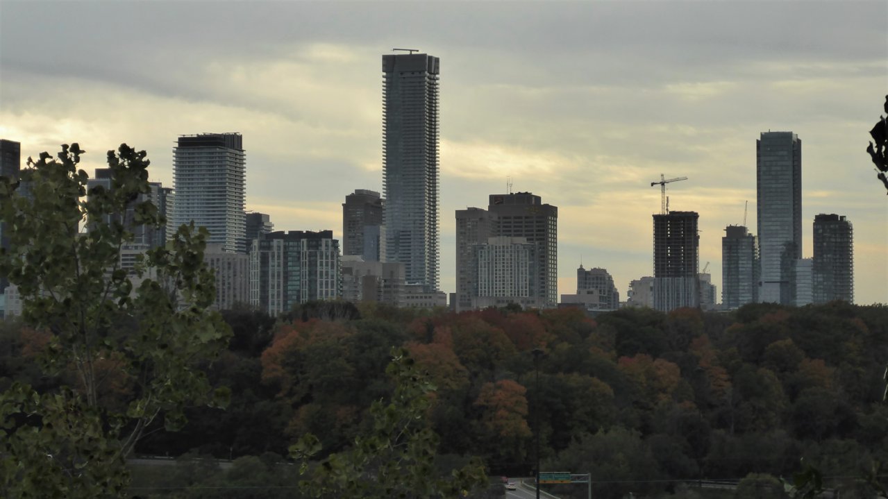 P1000058.JPG