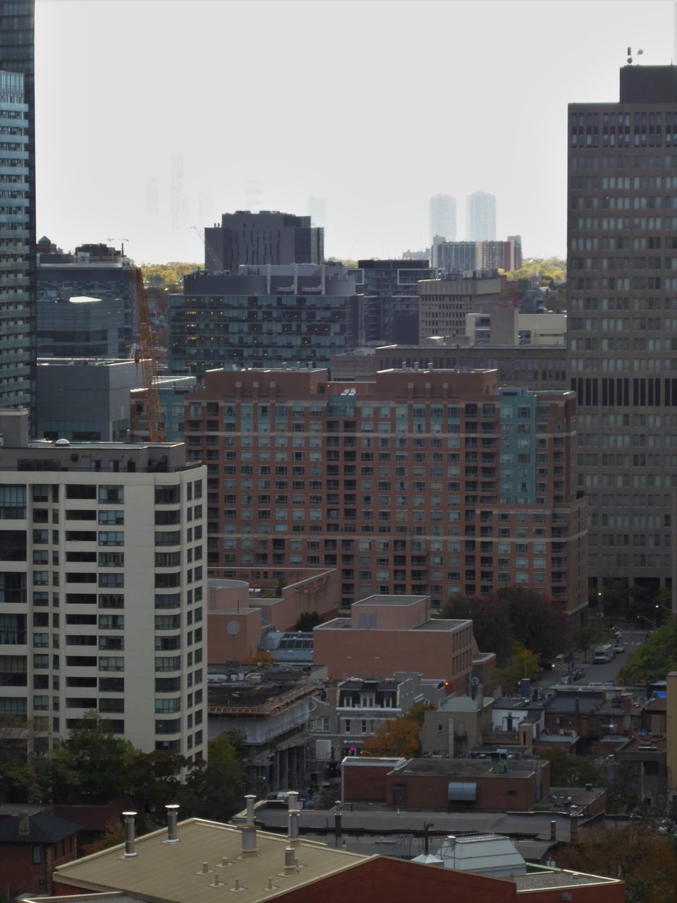 P1000079.JPG