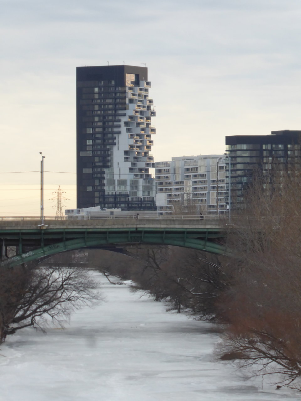 P1000449.JPG