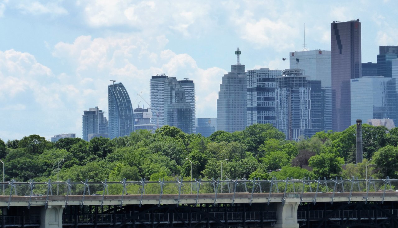 P1000554.JPG