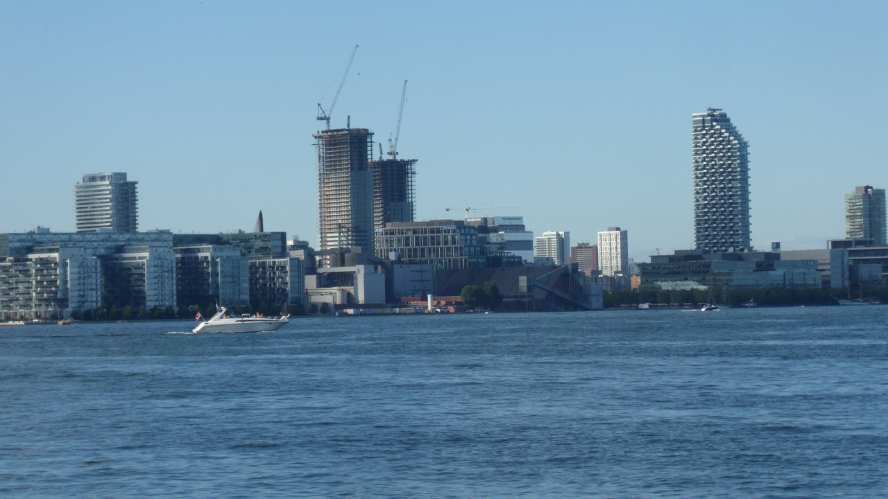 P1000564.JPG