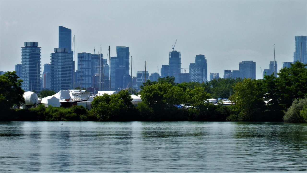 P1000607.JPG