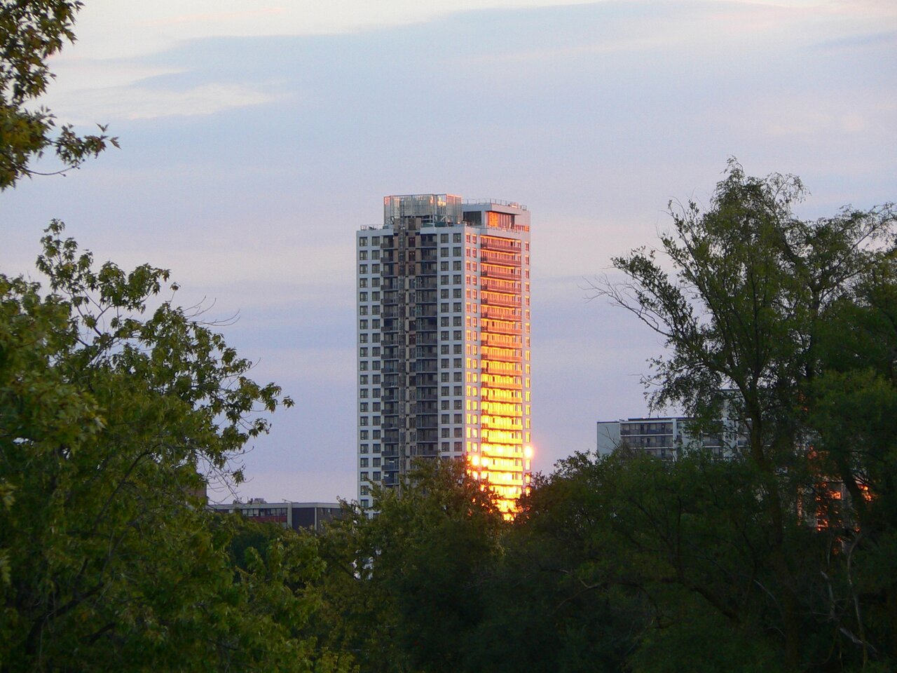 P1030853.JPG