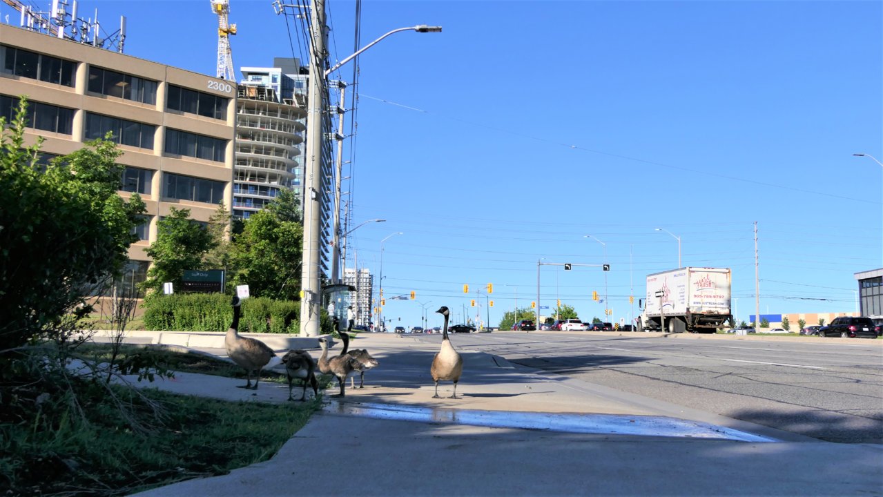 P1050835.JPG