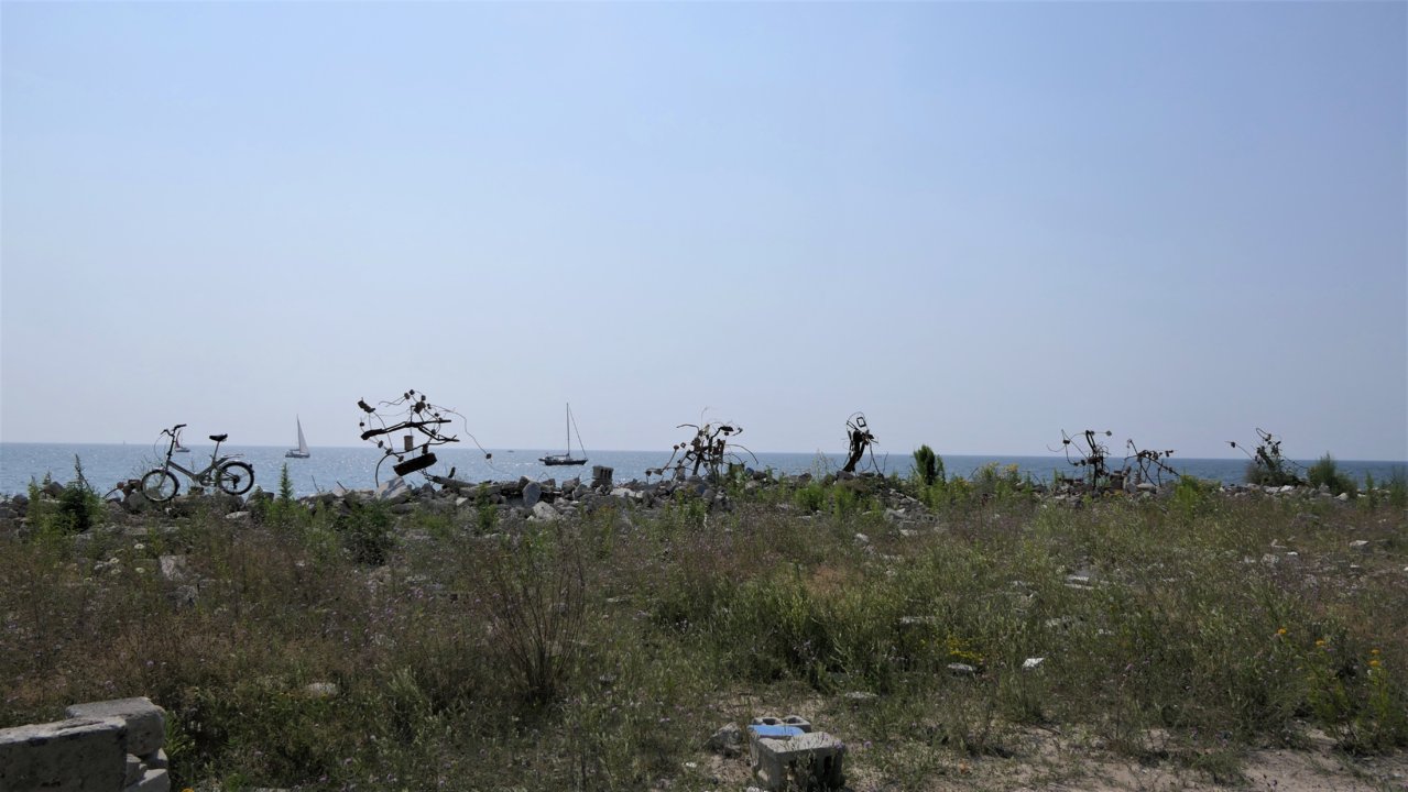 P1060558.JPG