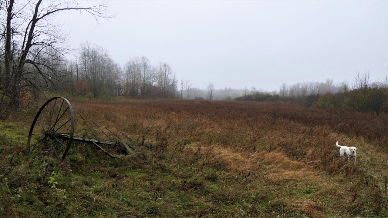 P1080132.JPG