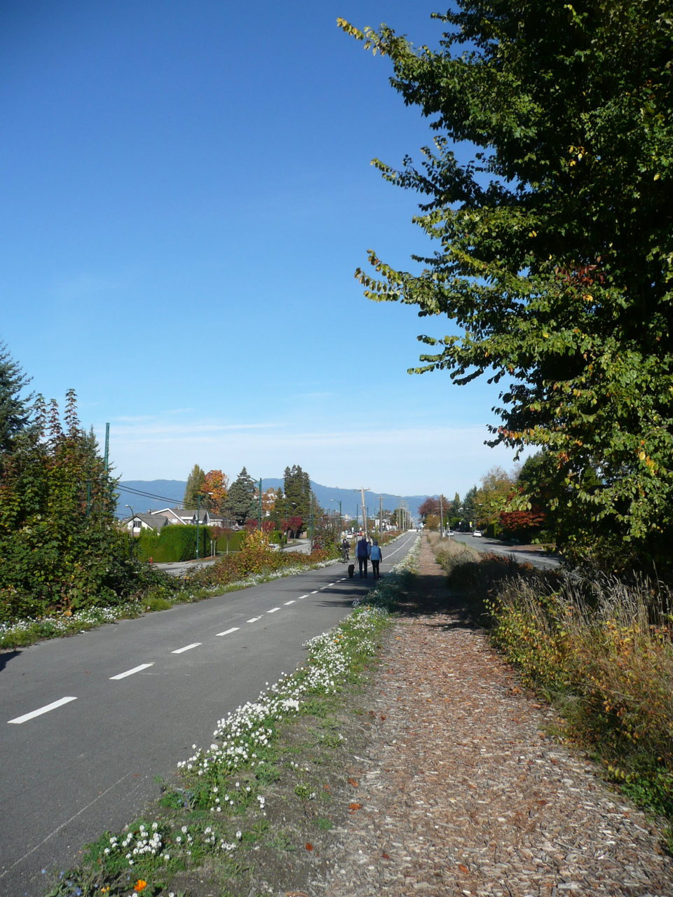 P1100229.JPG