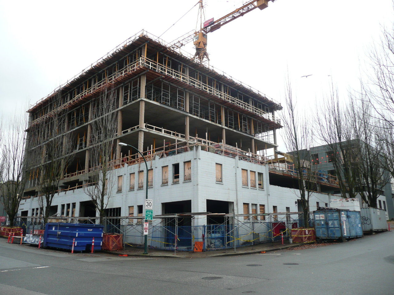 P1100465.JPG