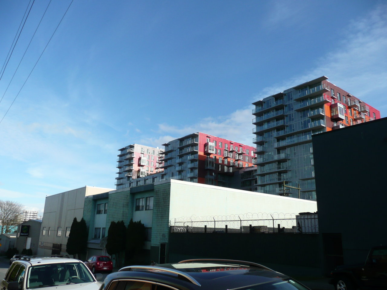 P1110081.JPG