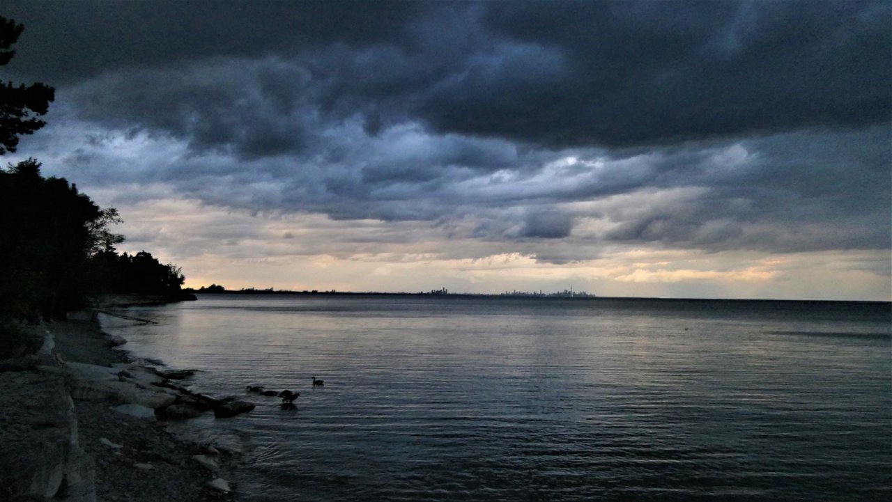 P1130008.JPG