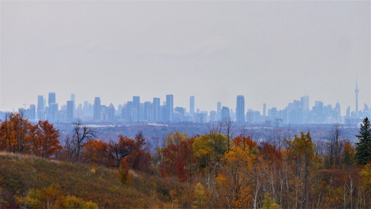 P1150045.JPG