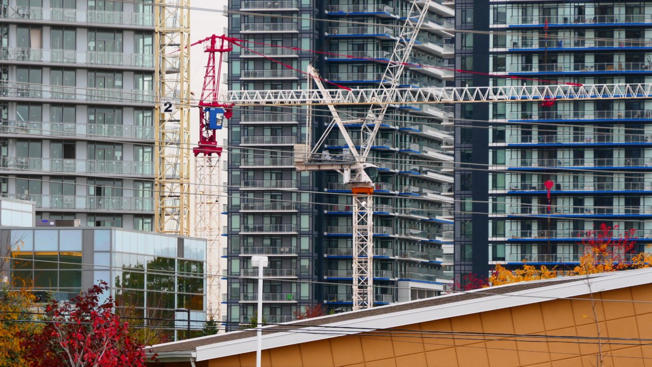 P1150651.JPG
