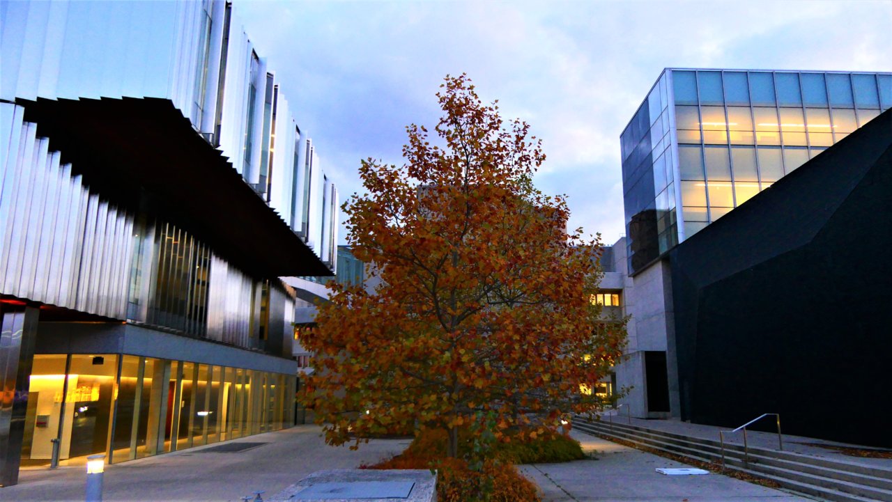 P1160087.JPG
