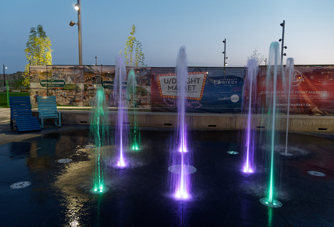 P1160215exp.jpg