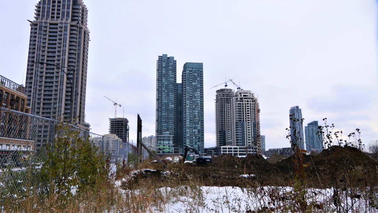 P1170154.JPG