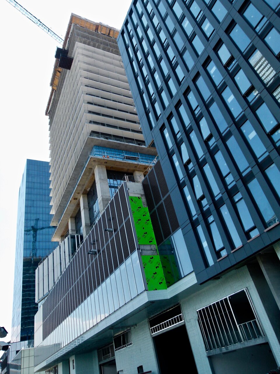P1230768.jpg