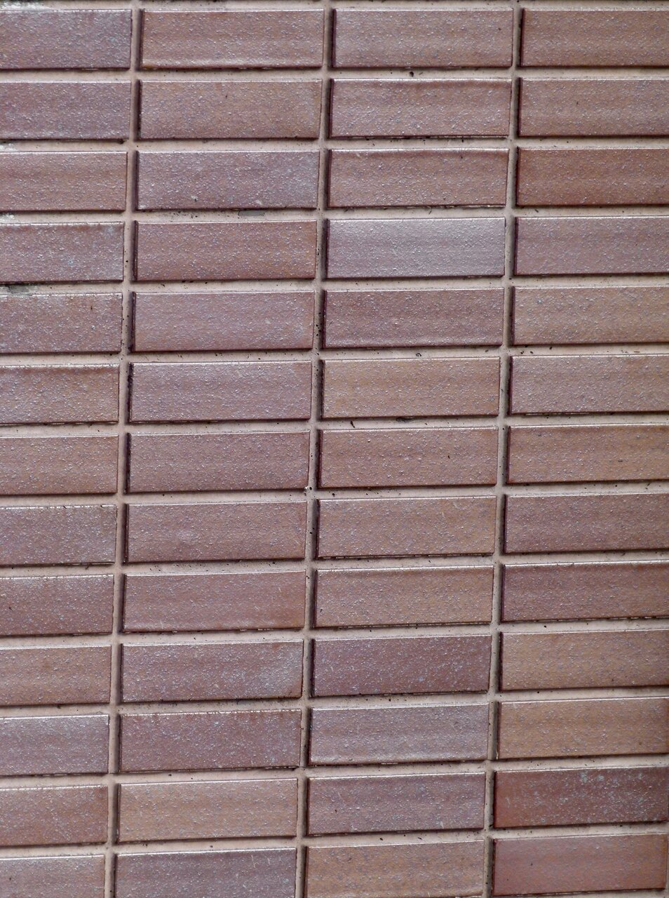 P1240570.jpg