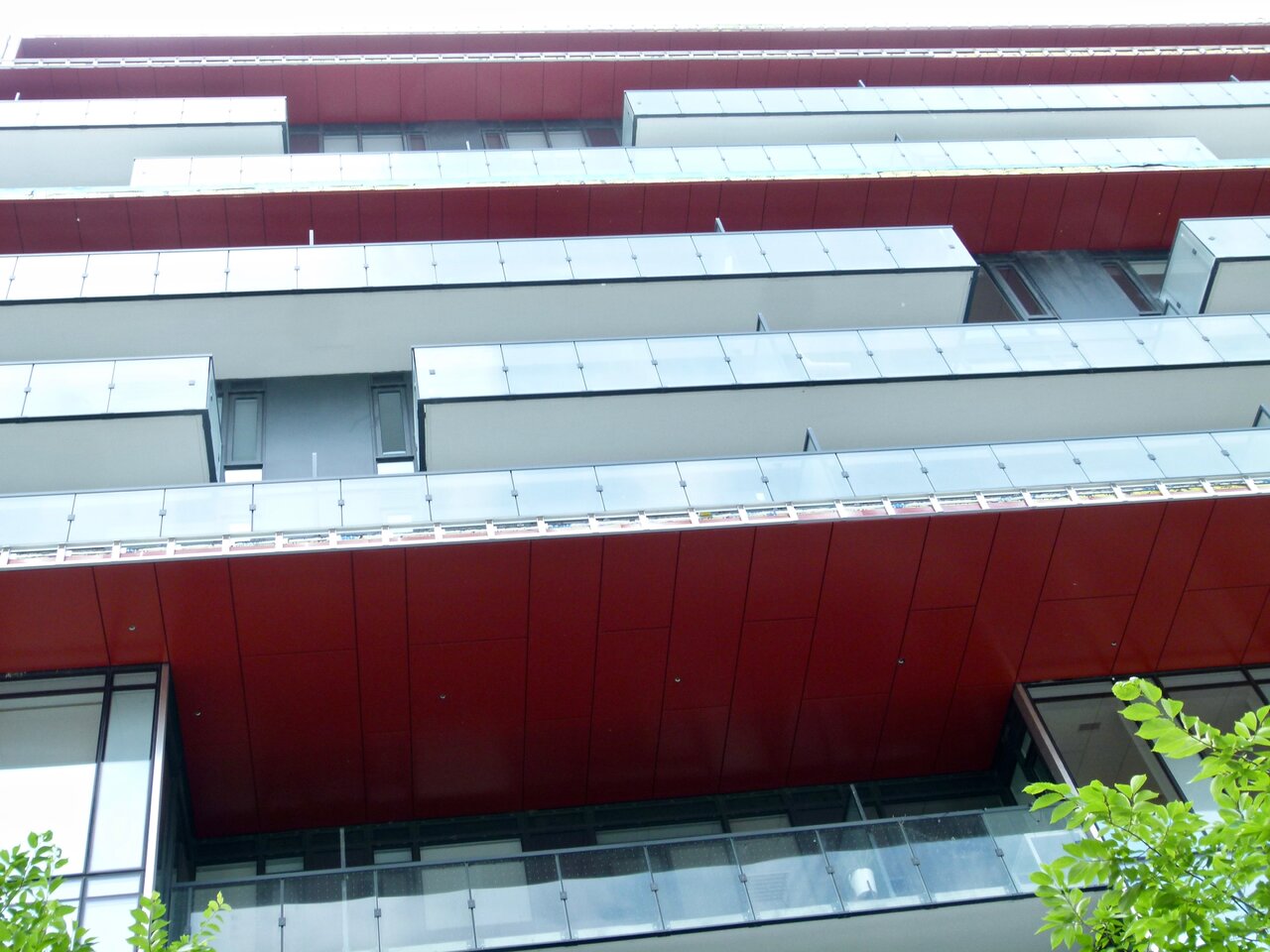 P1250034.jpg
