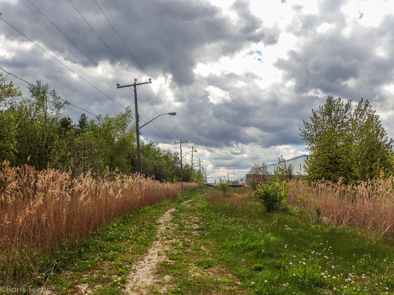 P5120500.jpg