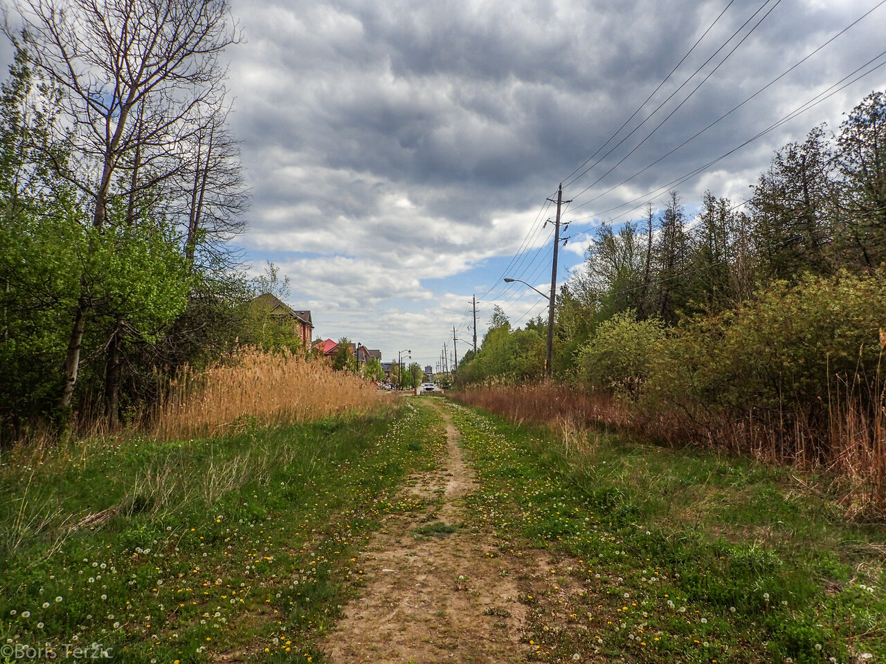 P5120507.jpg