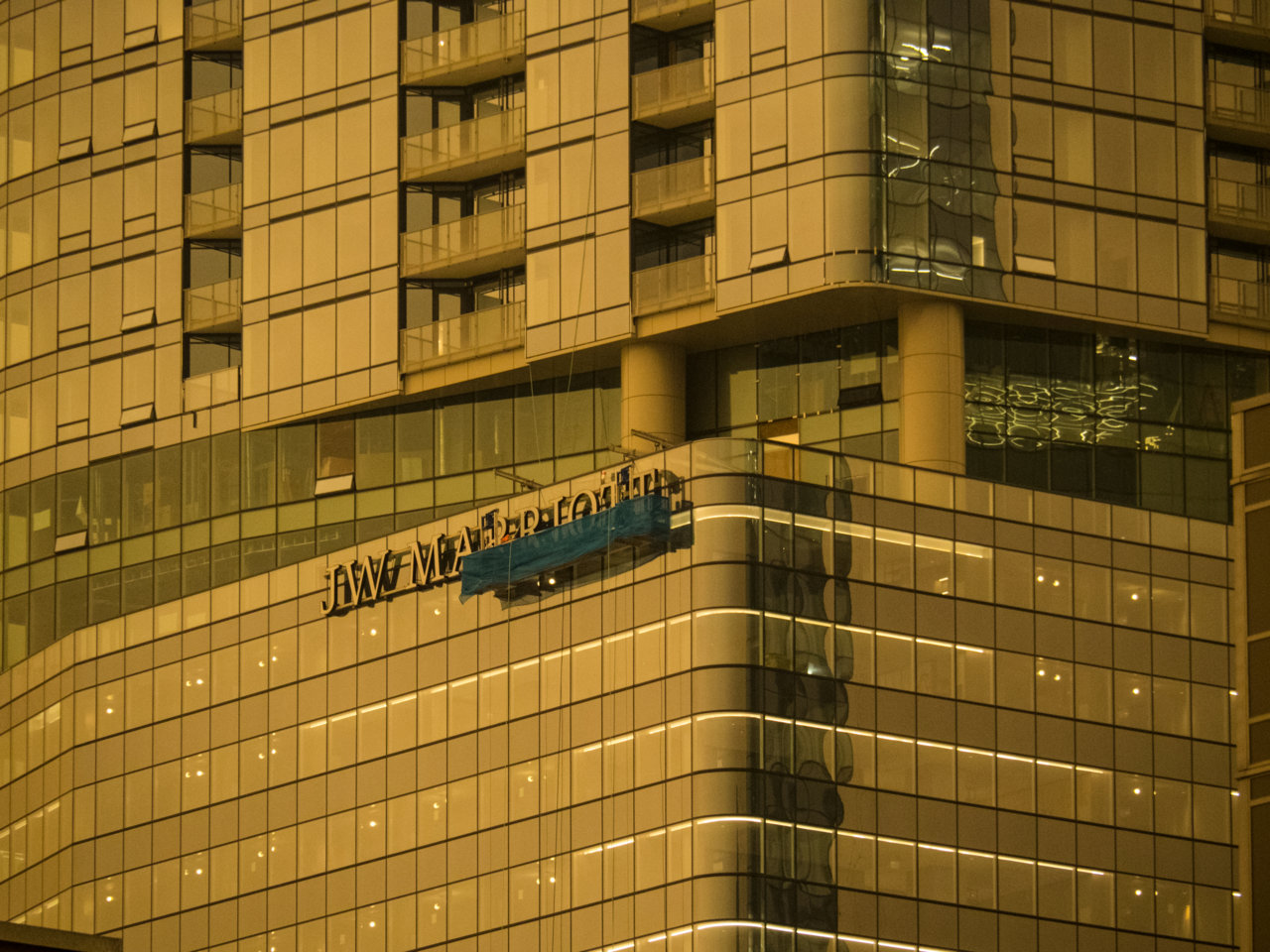 P5300584.jpg