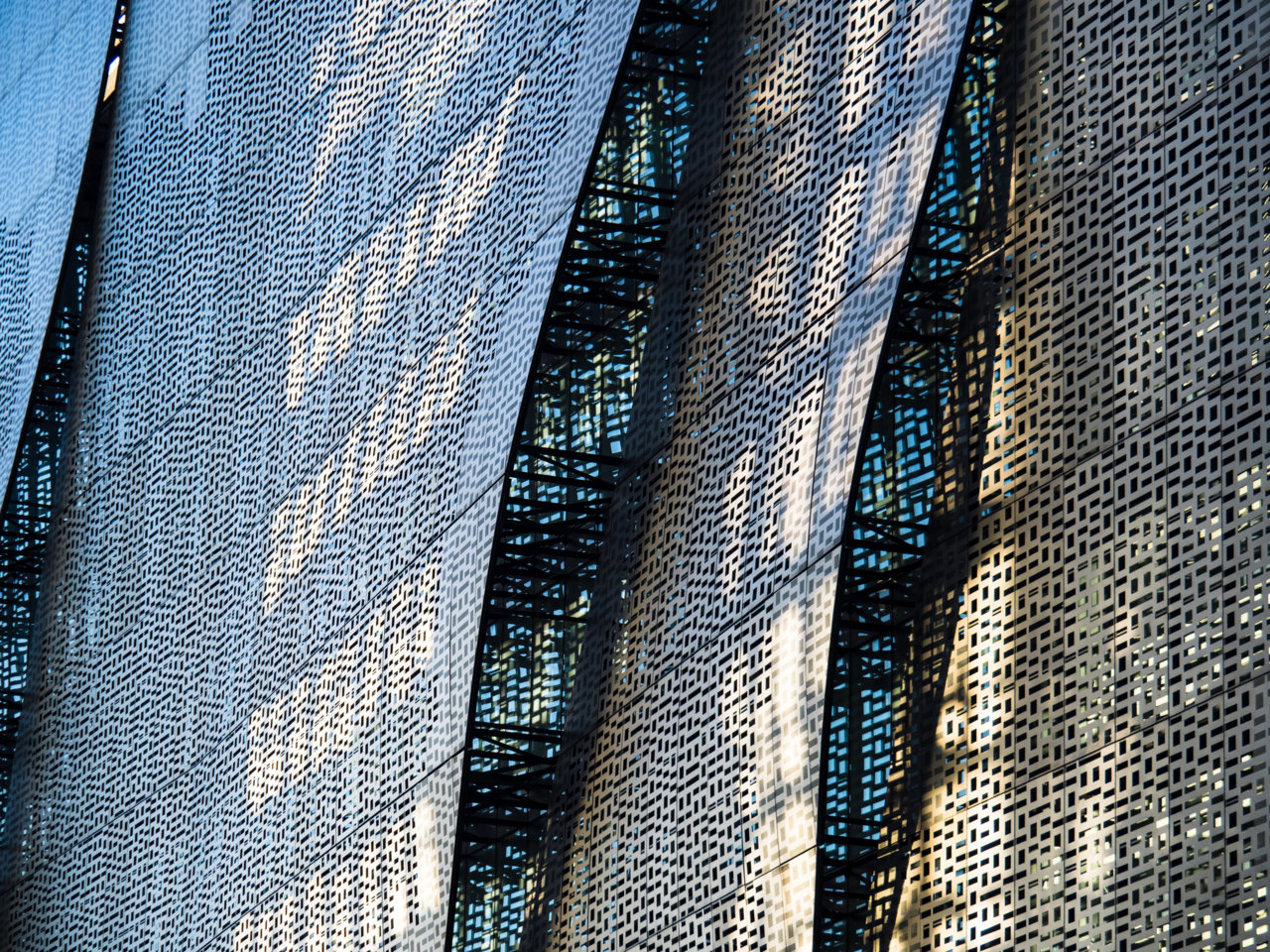 P6060621.jpg