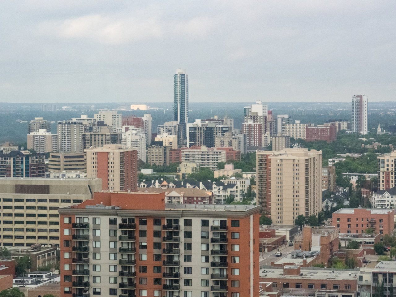 P8010450.jpg